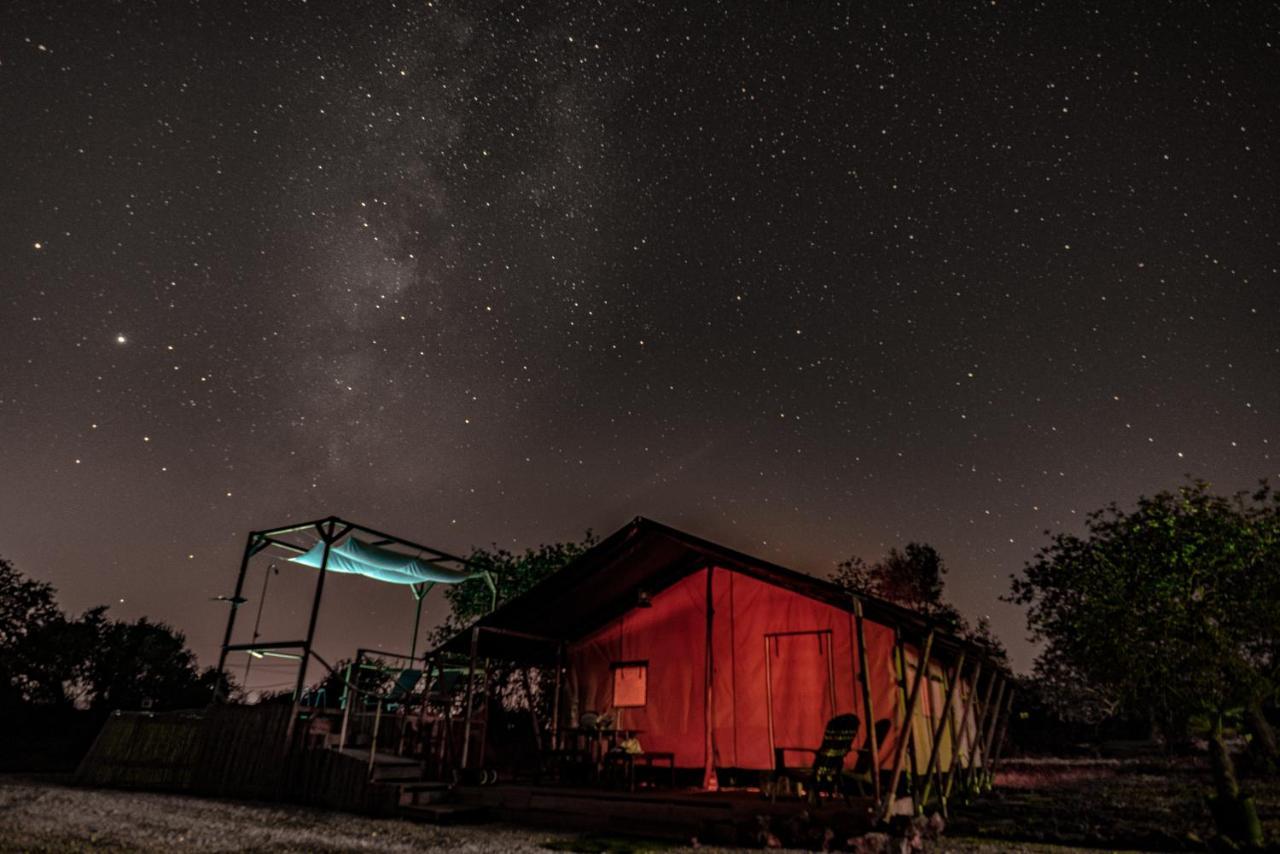 Ses Quinta Luxury Safari Tents Paderne Luaran gambar