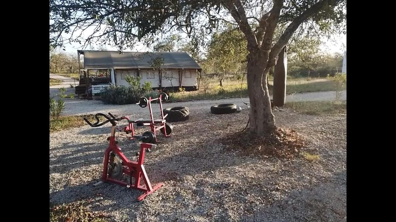 Ses Quinta Luxury Safari Tents Paderne Luaran gambar